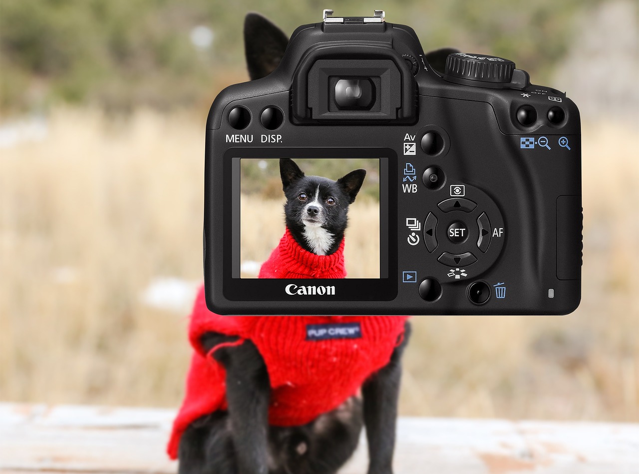 Exploring Camera Settings for Various Pet Photography Styles