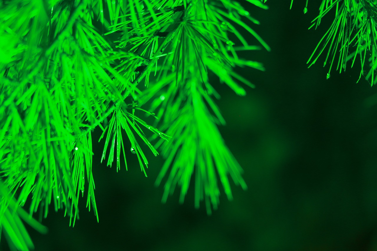 The Impact of Graduated Green Filters on Foliage Photography
