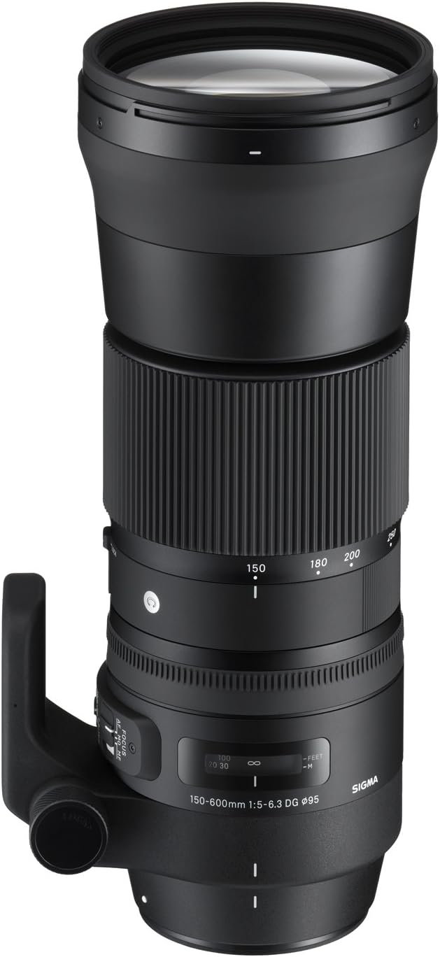 Sigma 150-600mm f/5-6.3 DG OS HSM for Canon EF