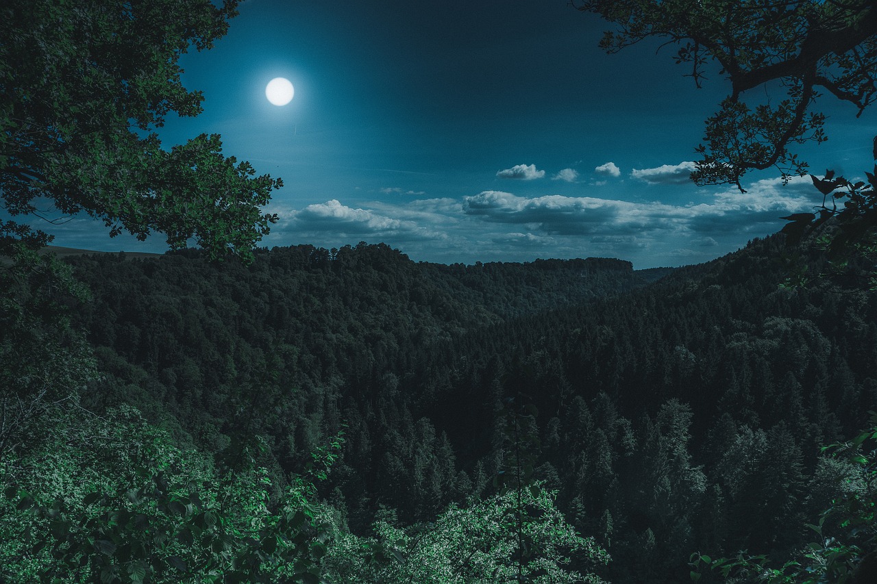Elegance of a Full Moon: Moonlit Sky Photography Tips