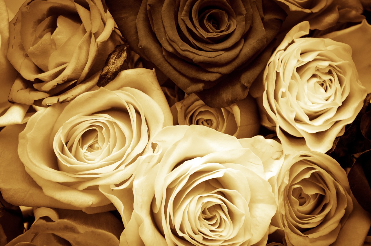 The Beauty of Monochrome: Sepia Flower Photography