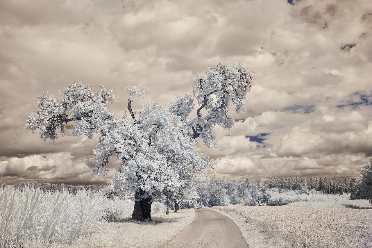 Advanced Landscapes Photographing in infra-red