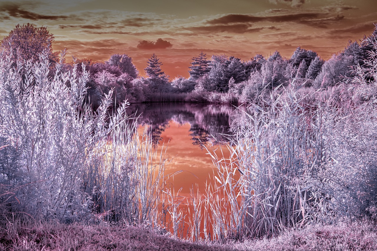 Infrared Water Photography: A Unique Perspective