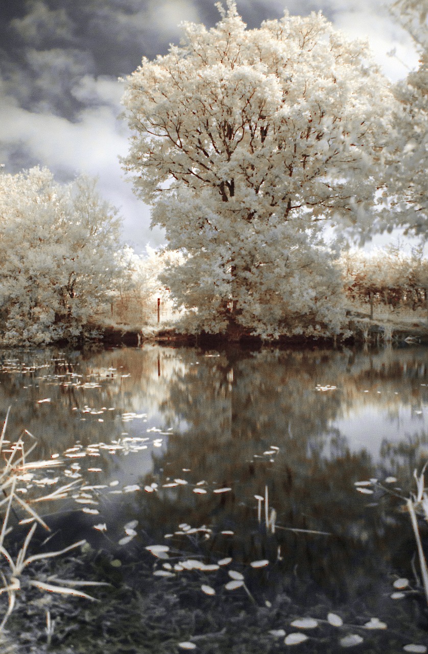 Portraiture in Infrared: A Surreal Perspective