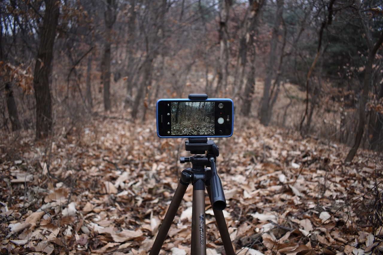 Guide to Smartphone Tripods and Stabilizers