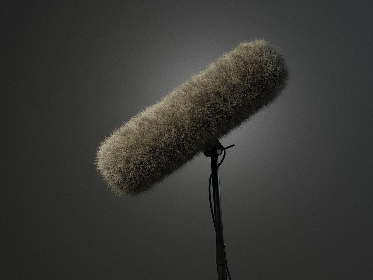 Creating DIY Boom Poles for Audio Recording