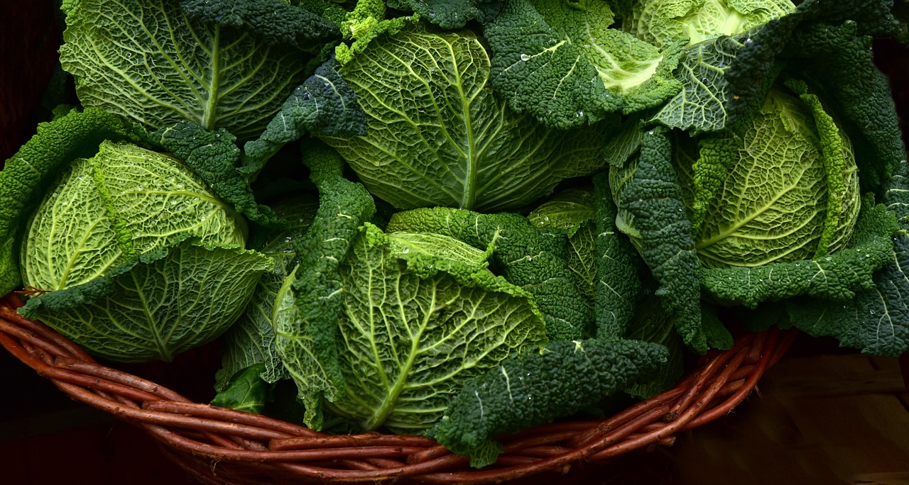 Capturing Leafy Greens: Exploring Texture and Form in Veg Photography